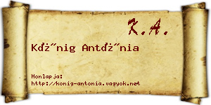 Kőnig Antónia névjegykártya
